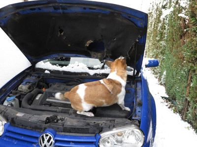 Benni im Motorraum