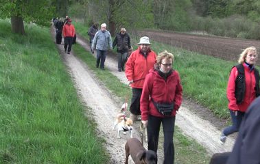 Hundegruppe geht zum Picknick.