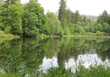 Der Neue Teich bei Zorge