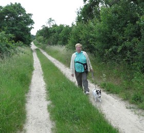 Levenstorf, Feldweg