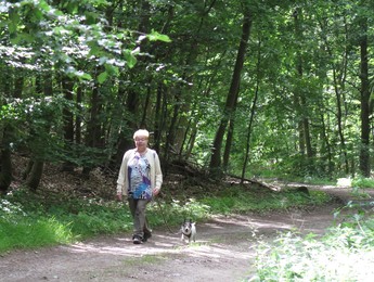 Im Wald