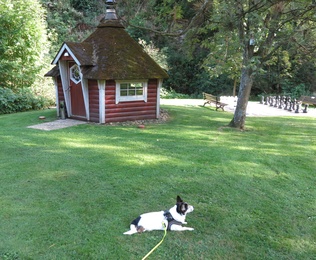 Fluffy liegt im Garten