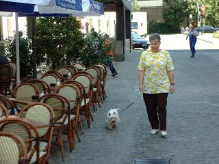 Mausi geht an der Leine