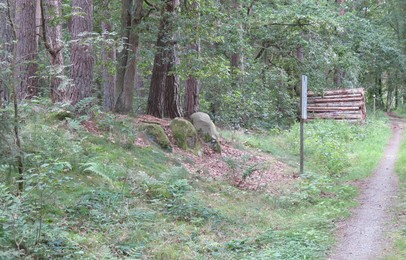 Ausschnitt vom Grosteingrab