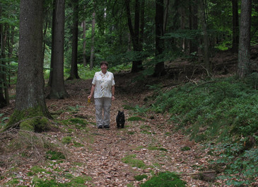 Xenia und Frauchen im Wald