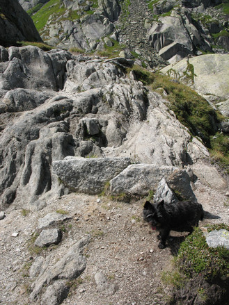 Xenia klettert ber die Felsen