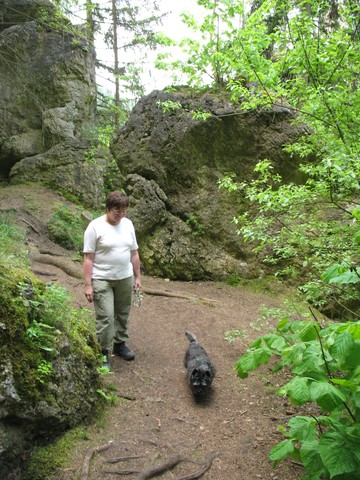 Wir gehen im Wald spazieren