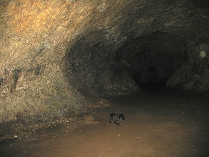 Xenia untersucht die Höhle