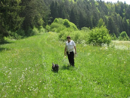 Wir wandern auf einer Wiese