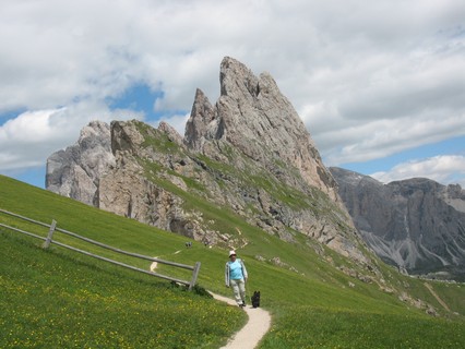 Wir wandern auf einer Wiese