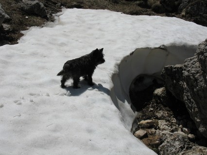 Xenia im Schnee