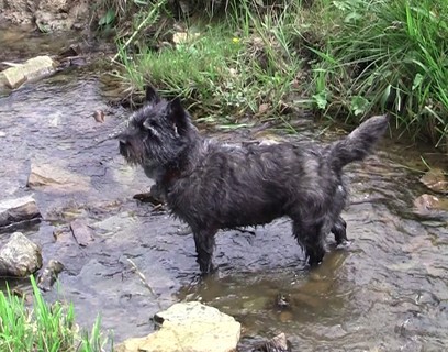 Xenia in der Lahn