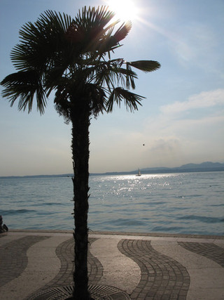 Am Gardasee, bei Lazise